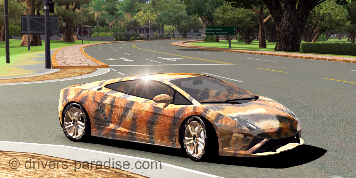 Lamborghini Gallardo LP560-4