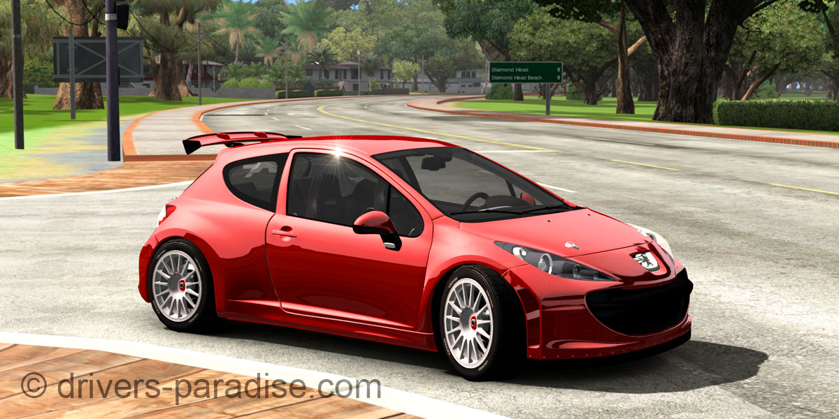 Peugeot 207 Super 2000