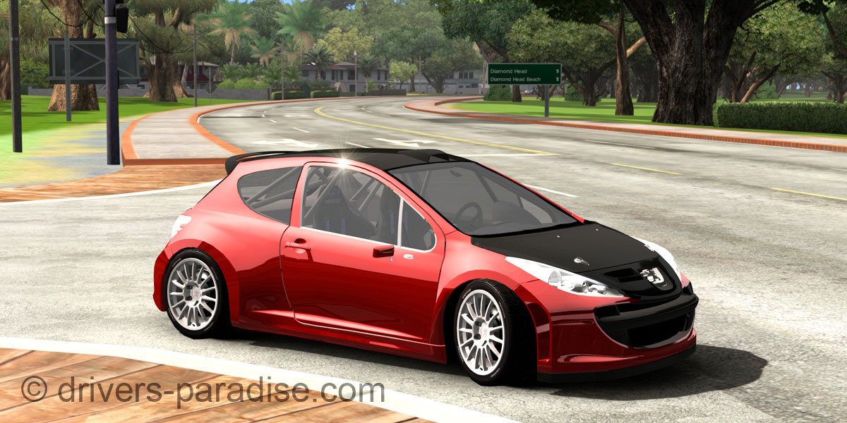Peugeot 207 Super 2000